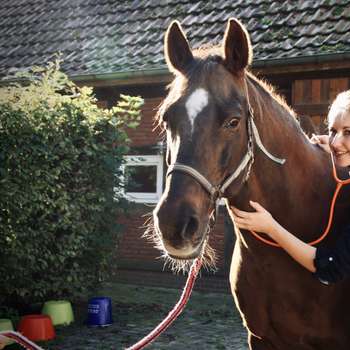 Vorschau von Equuria GbR | Pferdepraxis