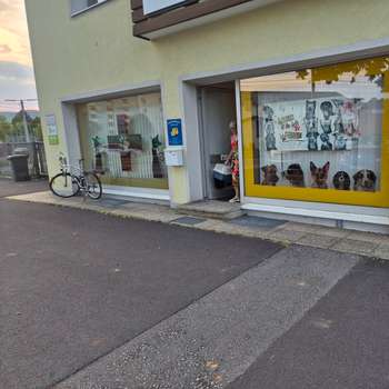 Vorschau von Dr. Knechtl Georg Kleintierpraxis Urfahr