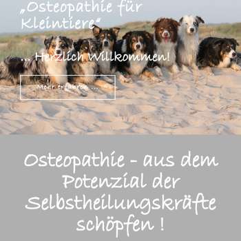 Vorschau von Tierarztpraxis Antje Brendel #Osteopathie #Homöopathie #Phytoptherapie #Tönning #Garding #SPO #Eiderstedt #Nordfriesland