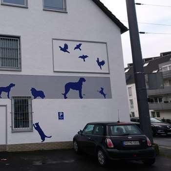Vorschau von Dr. med. vet. Andrea Vollmar