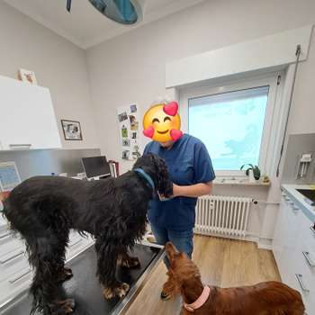 Vorschau von Tierarztpraxis Dr. Anette Tillner
