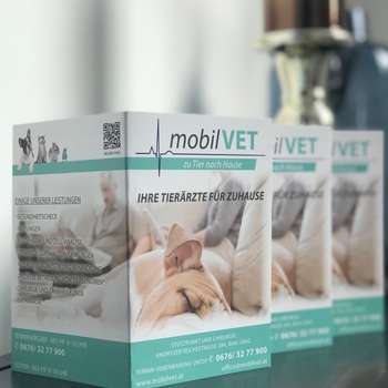 Vorschau von mobilVET - Ihre Tierärzte für zu Hause🐾