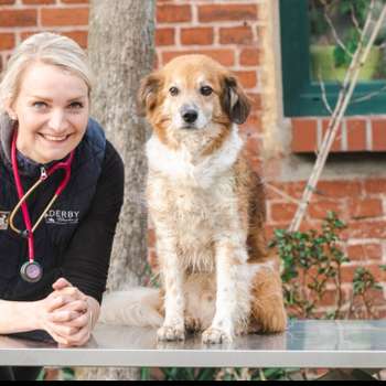 Vorschau von Tierarztpraxis Huf & Pfote, Dr. med. vet. Julia Brennecke