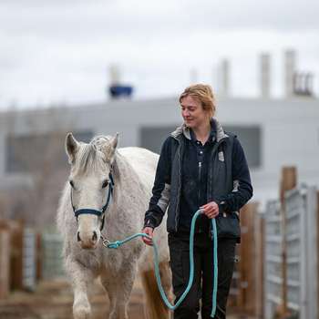 Vorschau von Equi-CaRe