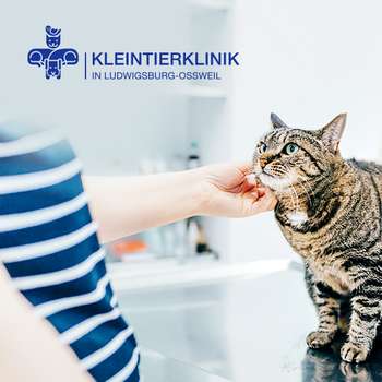 Vorschau von Kleintierklinik in Ludwigsburg-Oßweil