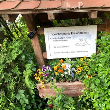 Vorschau von Claudia Puffahrt Tierärztin