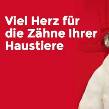 Vorschau von Tierarztpraxis Zentrum für Tierzahnheilkunde Hamburg