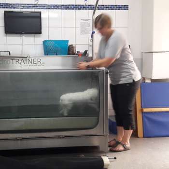 Vorschau von Tierisch Vital Tierphysiotherapie - Lisa Keller