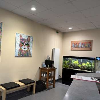 Vorschau von Tierärzte Elmshorn IVC Evidensia GmbH