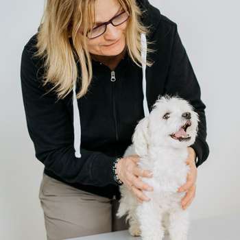 Preview of Biologisches Therapiezentrum für Hunde - Tierheilpraktikerin Anja Wagner