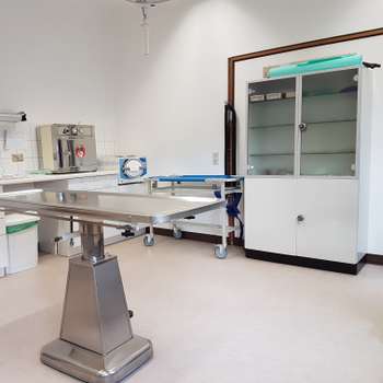 Vorschau von Dr. Jutta Iking