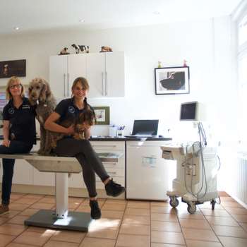 Vorschau von Tierarztpraxis Dr. Insa Rulffes und Dr. Nele Seybold