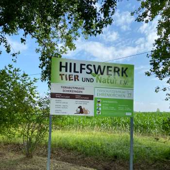 Vorschau von Tierarztpraxis Scherzingen