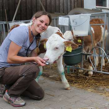 Preview of Tierarztpraxis Nina Siegmund für Rinder & kleine Wiederkäuer