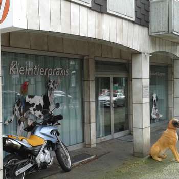 Vorschau von Eckhard Bürgener Tierarzt