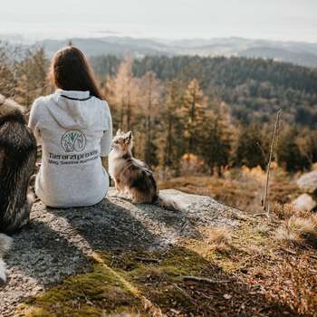 Vorschau von Tierarztpraxis Dimbach - Mag. Sabrina Aschauer