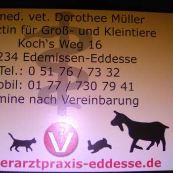 Vorschau von Eddesse