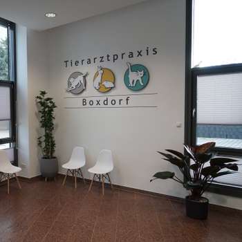 Vorschau von Tierarztpraxis Boxdorf