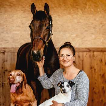 Preview of Dr.med.vet. Anna Stölzl- veterinärchiropraktorische Fahrpraxis