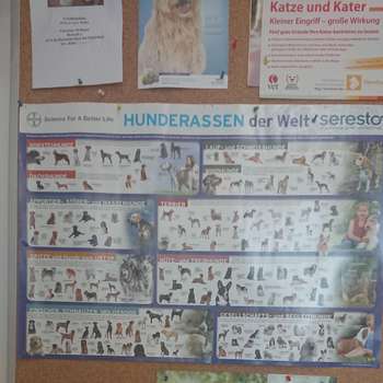Vorschau von Rockenschaub Martin Dr - Kleintierpraxis