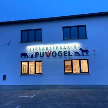 Vorschau von Tierarztpraxis Puvogel - Tierarzt - Tierarzt Notdienst
