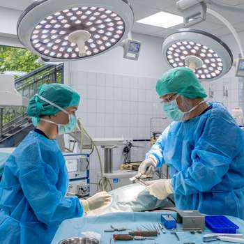 Vorschau von Kleintierklinik Wasbek