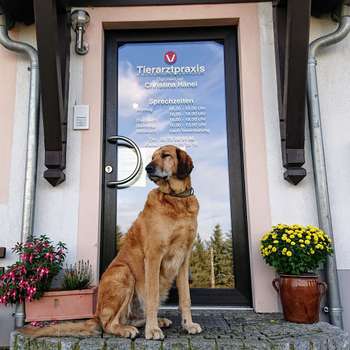 Vorschau von Tierarztpraxis Zur Steinbrückmühle