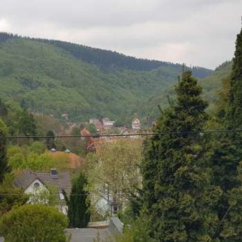 Vorschau von Corinett Gössel Tierärztin
