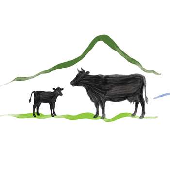 Vorschau von Tierarztpraxis Ammer-Lech