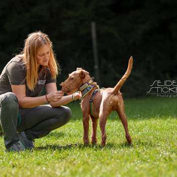 Vorschau von Hundeschule & Praxis für Verhaltensmedizin Dr. Sandra Bruns