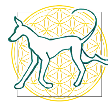 Vorschau von Osteopathie und Chiropraktik für Kleintiere - Tierärztin Marie Vogley