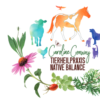Vorschau von Tierheilpraxis NativeBalance