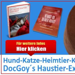 Vorschau von online Haustier Experten Portal