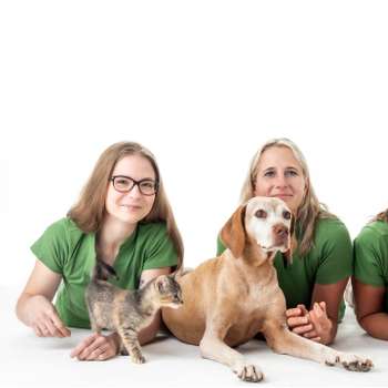 Vorschau von VET-Erfurt - Fachpraxis für Kleintiermedizin Erfurt Dr.Kammlott&Rotsche