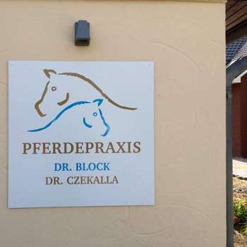 Vorschau von Pferdepraxis in Ostholstein