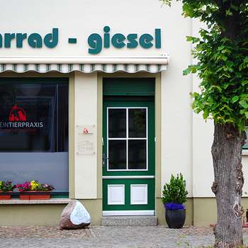 Vorschau von Jana Giesel