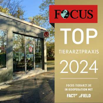 Vorschau von Tierarztpraxis Dr. med. vet. Annette Straub-Holz, Tierarzt, Kleintierpraxis