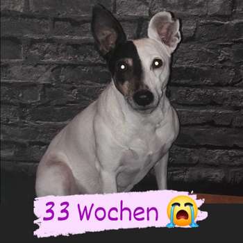 Vorschau von Tierarztpraxis Feldmeyer