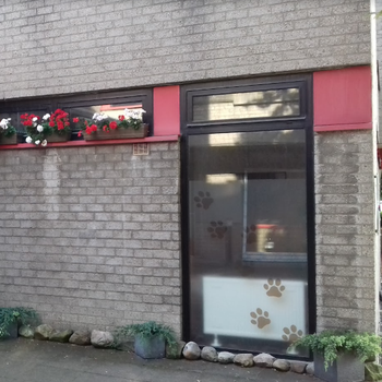 Vorschau von Tierarztpraxis im Gesundheitszentrum Dr.med.vet. Daniel Wigger - Münster-Roxel