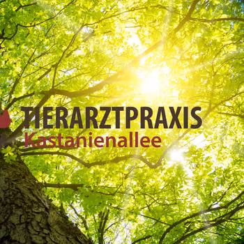 Vorschau von Tierarztpraxis Kastanienallee