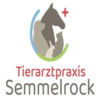 Preview of Tierarztpraxis Mag. Sarah Semmelrock