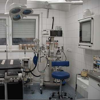 Preview of Dr. med. vet. Roland Graen