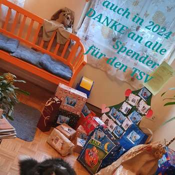 Vorschau von Tierarztpraxis Butendorf