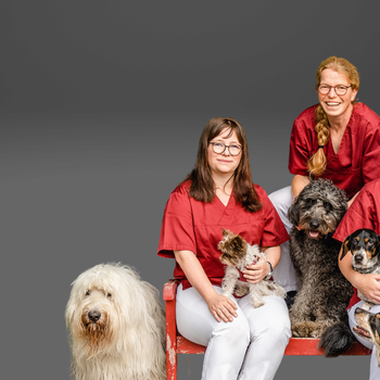 Vorschau von Natascha Hahn Tierarztpraxis