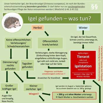 Vorschau von Tierarztpraxis Reckenfeld