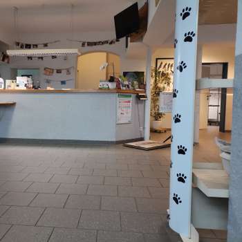Vorschau von Tierarztpraxis Kappeln