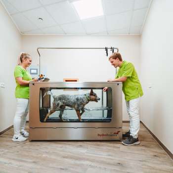 Vorschau von Tiergesundheitszentrum am Rothaarsteig