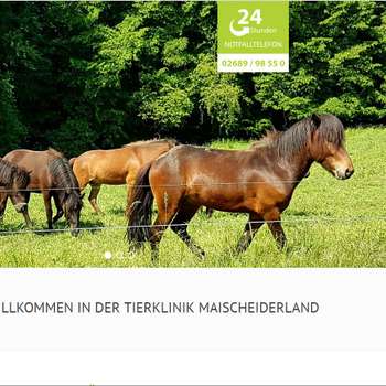 Vorschau von Pferdeklinik Maischeiderland GmbH