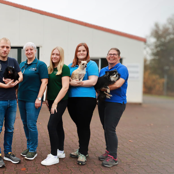 Vorschau von Kleintierpraxis Zur alten Ems ⎮ Tiermedizin in der Region Rhede (Ems)