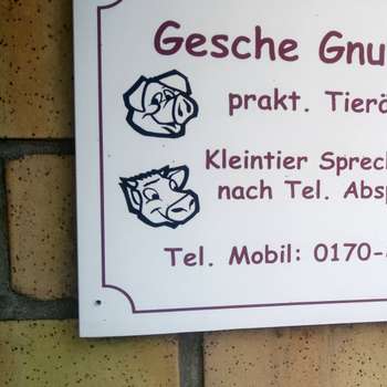 Vorschau von Gesche Gnutzmann Tierärztin